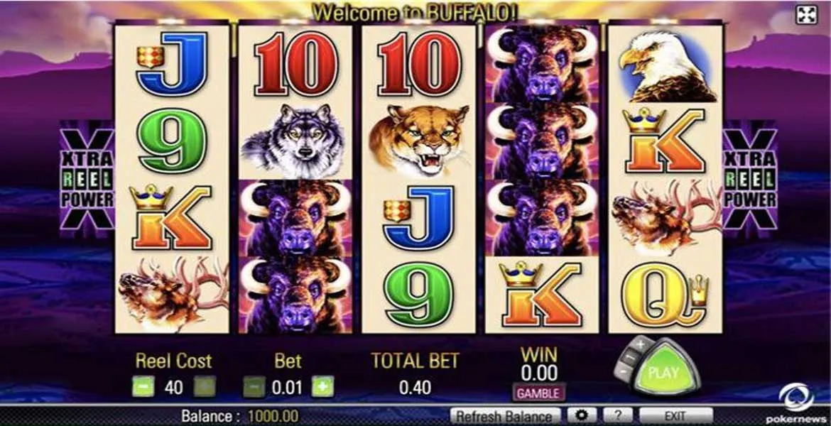 Play in Buffalo for free now |