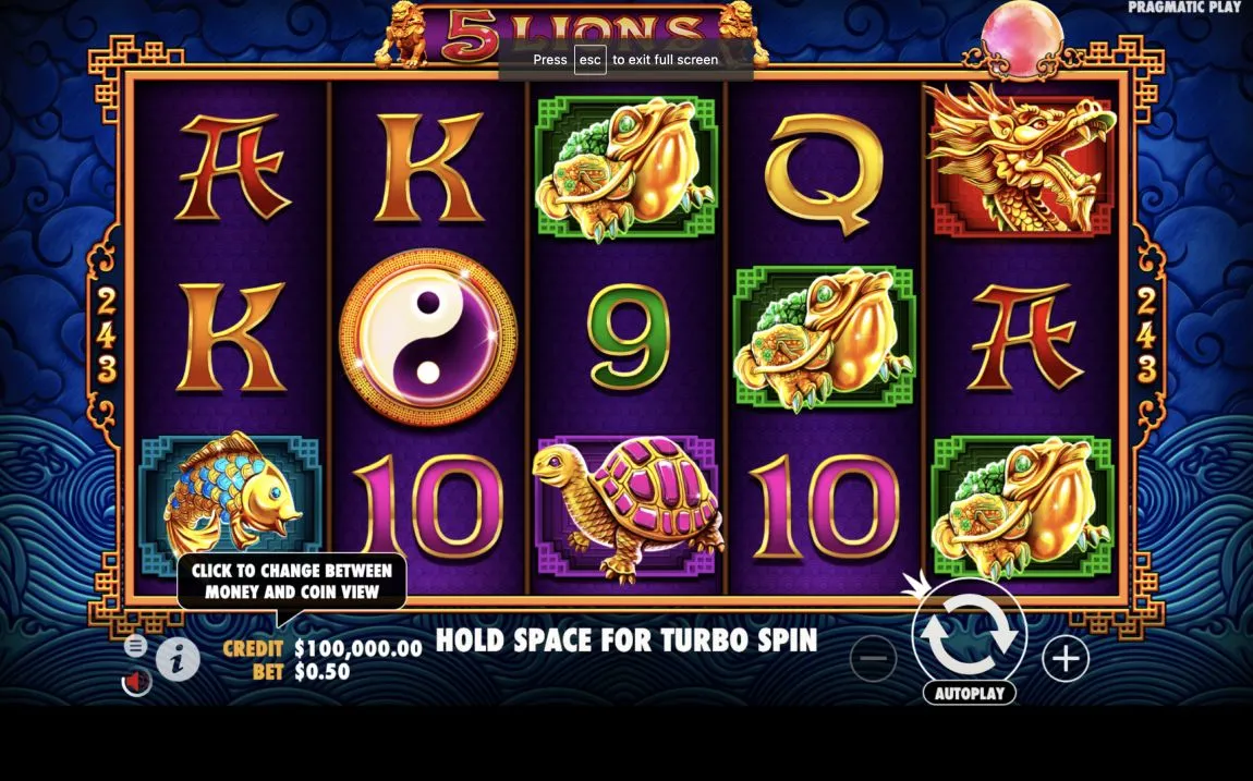 Play in 5 Lions for free now |